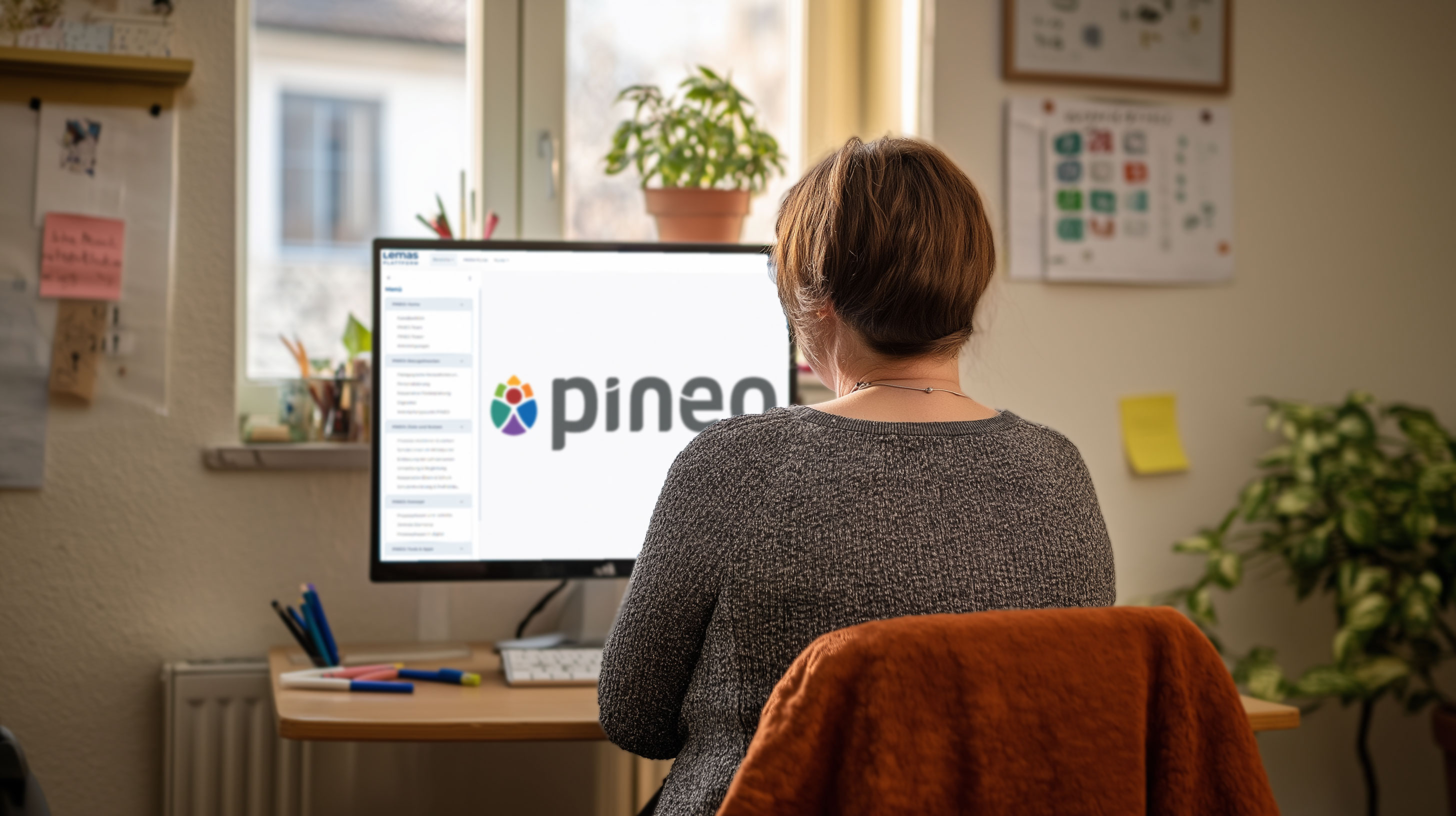 Grundlagen – PINEO Praxis