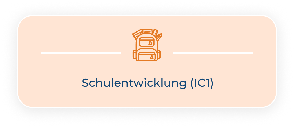 Kursfeld Schulentwicklung